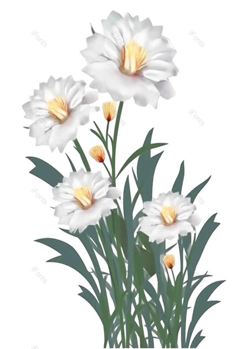 叶子图片,装饰元素,元素PNG,清新免抠素材